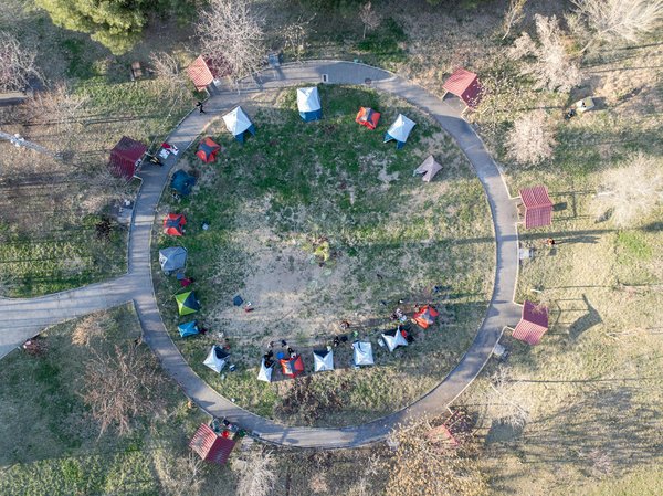 Comment planifier une excursion pour observer les gorilles des montagnes en Ouganda : conseils pratiques et équipement nécessaire ?