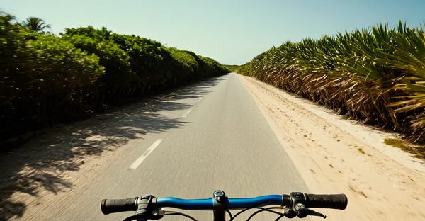 Les secrets des locations de vélos sur l'île de ré