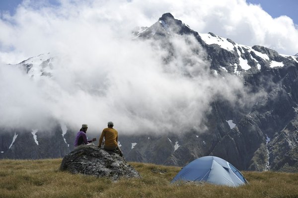 Quelles sont les meilleures pratiques pour camper en région de forêts de chênes en hiver?